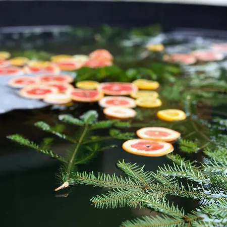 Vysoka Brama дерев'яний будиночок з чаном *