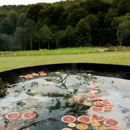 Holiday home Vysoka Brama дерев'яний будиночок з чаном