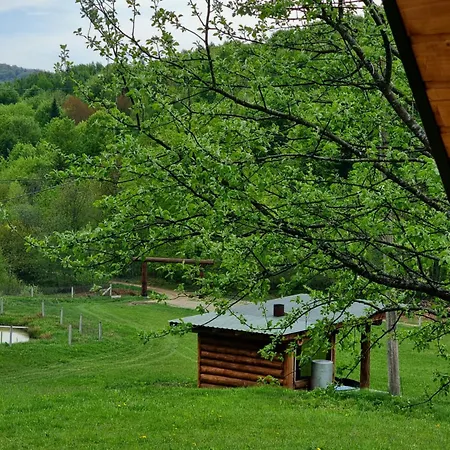 Vysoka Brama дерев'яний будиночок з чаном *
