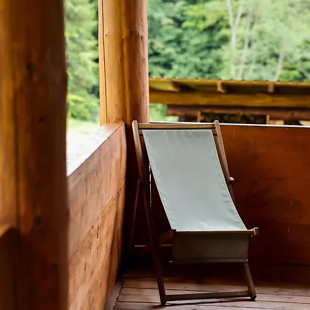 Vysoka Brama дерев'яний будиночок з чаном Oriv