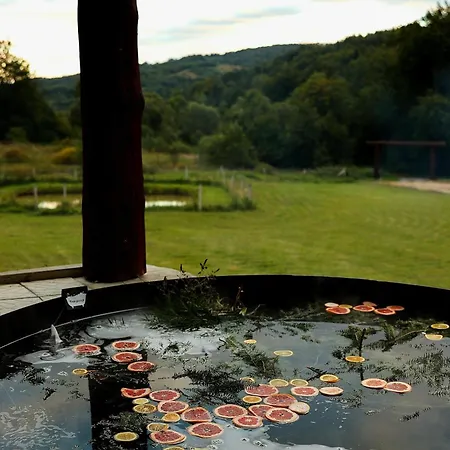 Vysoka Brama дерев'яний будиночок з чаном Holiday home *