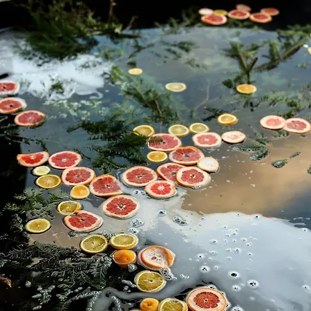 Vysoka Brama дерев'яний будиночок з чаном