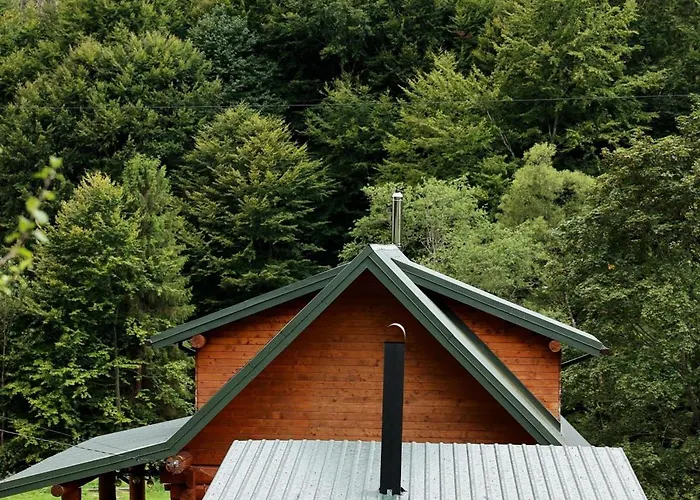 Holiday home Vysoka Brama дерев'яний будиночок з чаном *