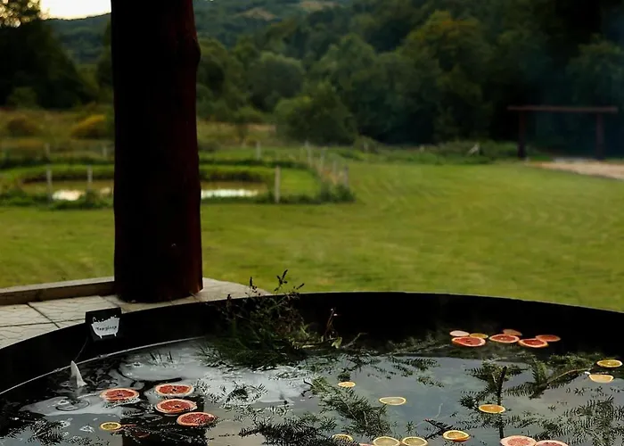 Vysoka Brama дерев'яний будиночок з чаном Holiday home *